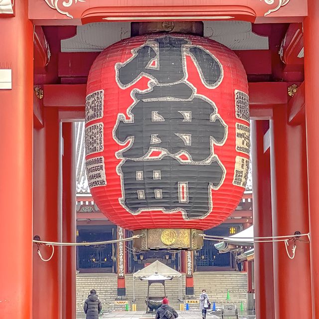 雪の後の宝蔵門を眼下から