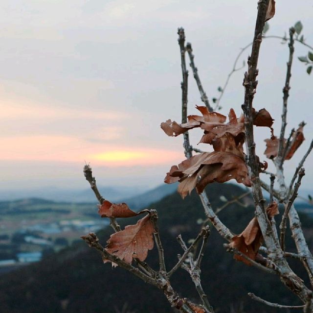 제주 일몰명소 '새별오름'