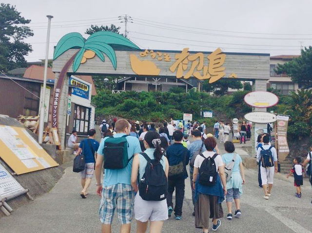 【首都圏からのアクセス良好】初島へ離島の旅へ出かけてきた！