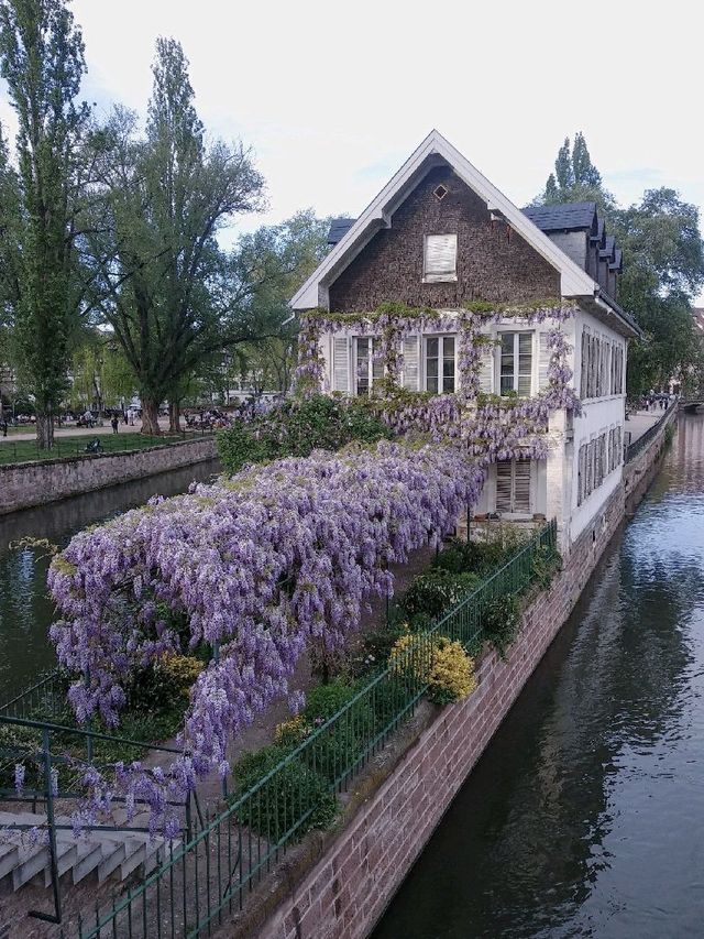 浪漫法國古城Strasbourg