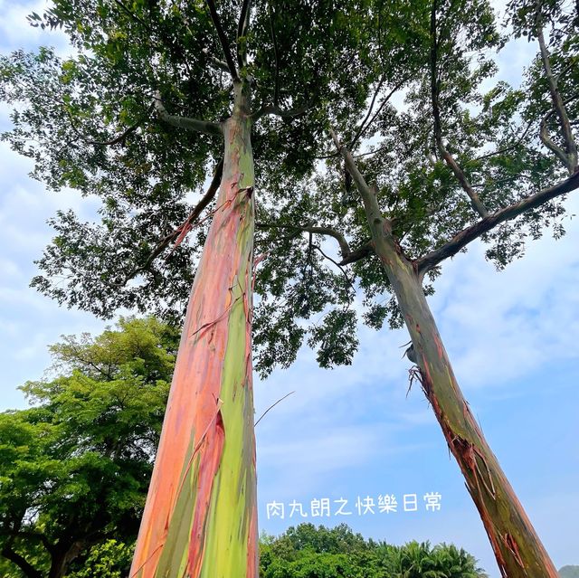 迪欣湖