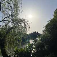 Spring vibes at Haizhu Wetland Park