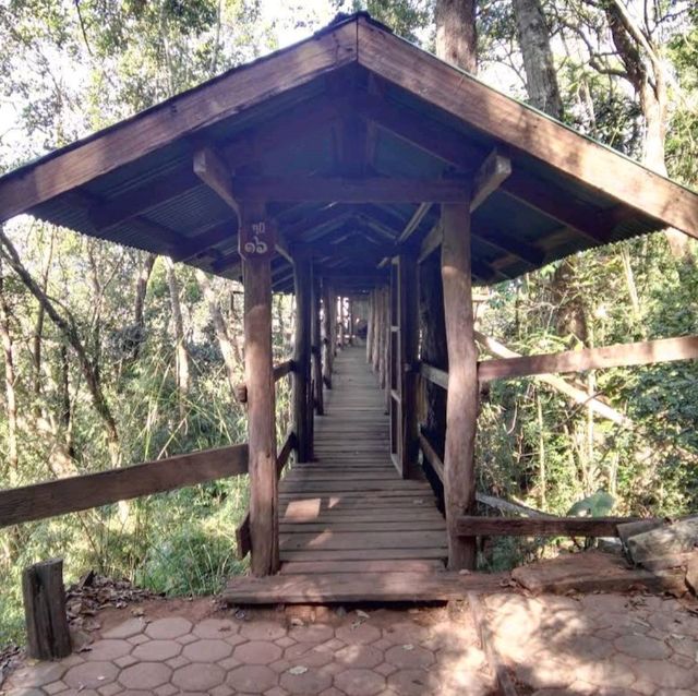 วัดภูทอก ชมวิว360 องศา บนยอดเขา จ.บึงกาฬ