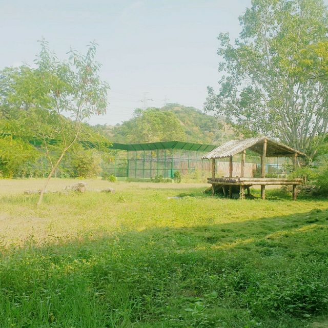 인도의 동물원 Jungle Safari