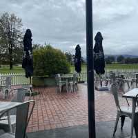 lunch @ rochford wines 