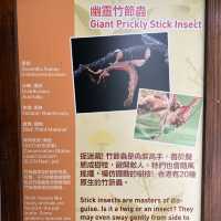 同小朋友去睇動物🤓
