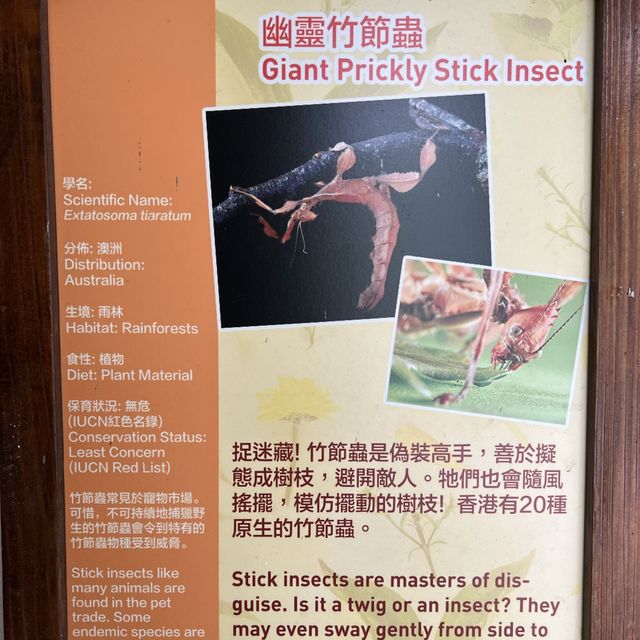 同小朋友去睇動物🤓