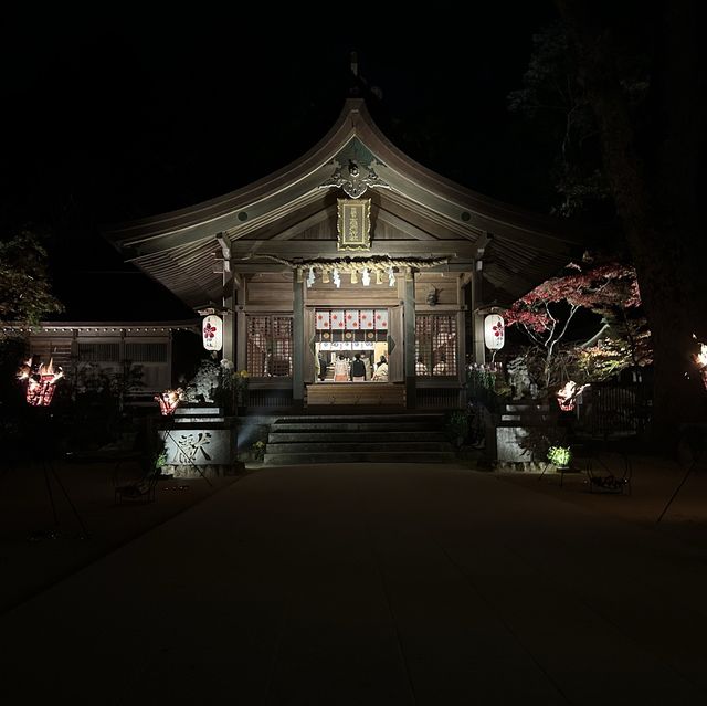 【太宰府】竈門神社の紅葉ライトアップ🍁