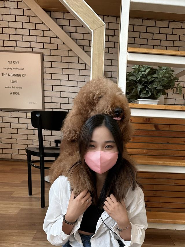 🇹🇭曼谷 狗狗cafe 一大堆狗狗圍住你轉🐶
