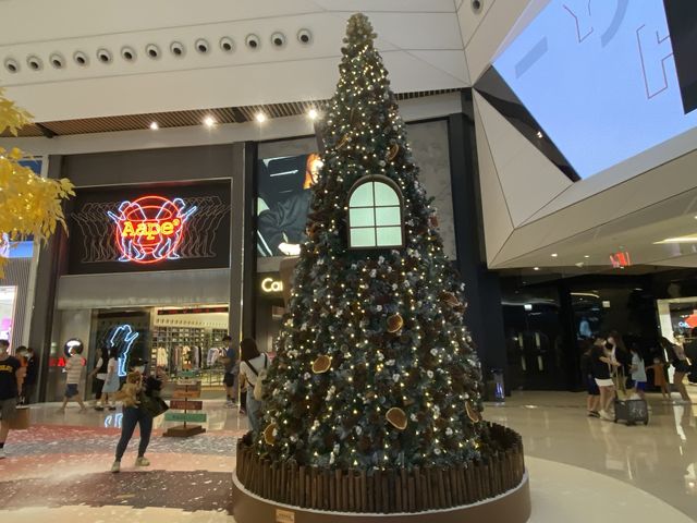 在香港過一個白色聖誕💓雪影極幻森林
