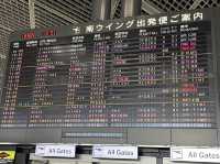 待ちに待った海外旅行✈️