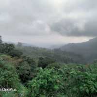 Trip to paradise land in South India -Kerala