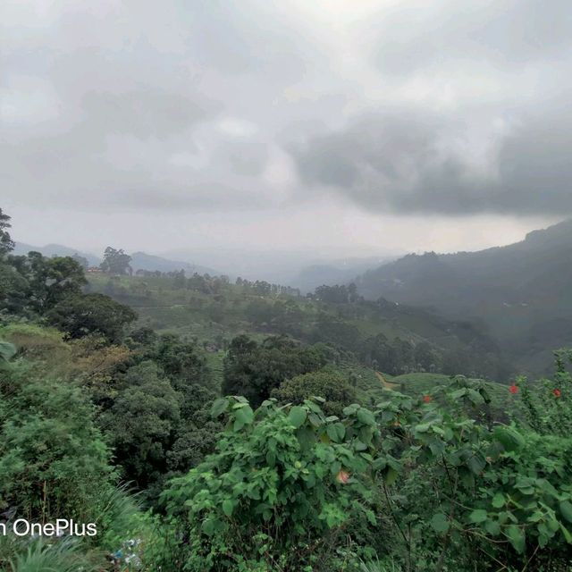 Trip to paradise land in South India -Kerala