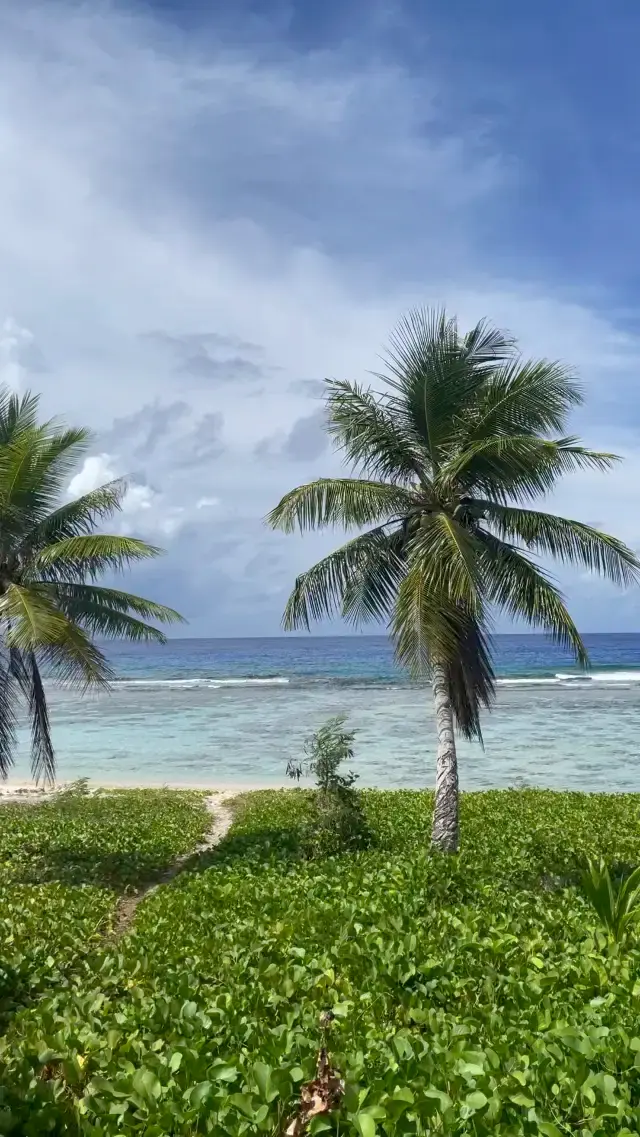 이곳은 무릉도원🏝️