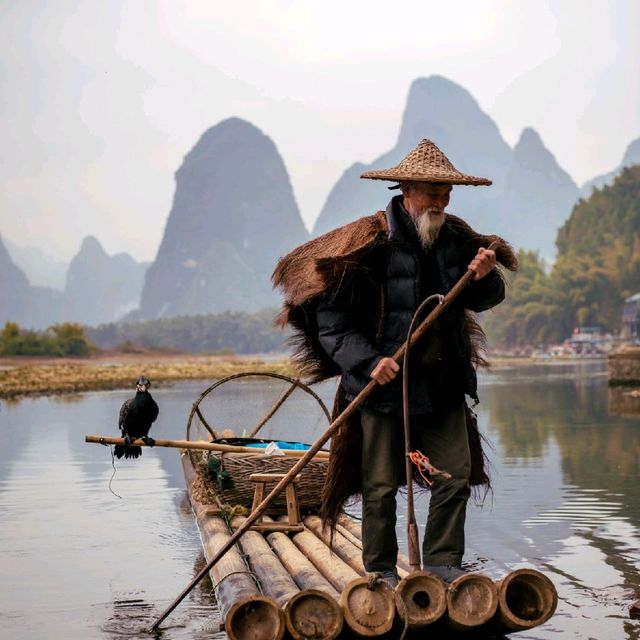 Cormorant fisherman of the Li River