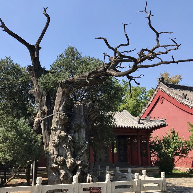 Daimiao Temple Taishan Mountain