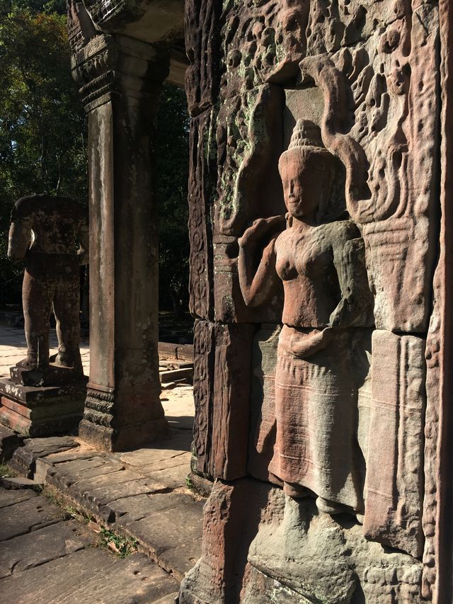 The most beautiful photo frame in the world - Preah Khan: The Triumphal Temple of the God King.