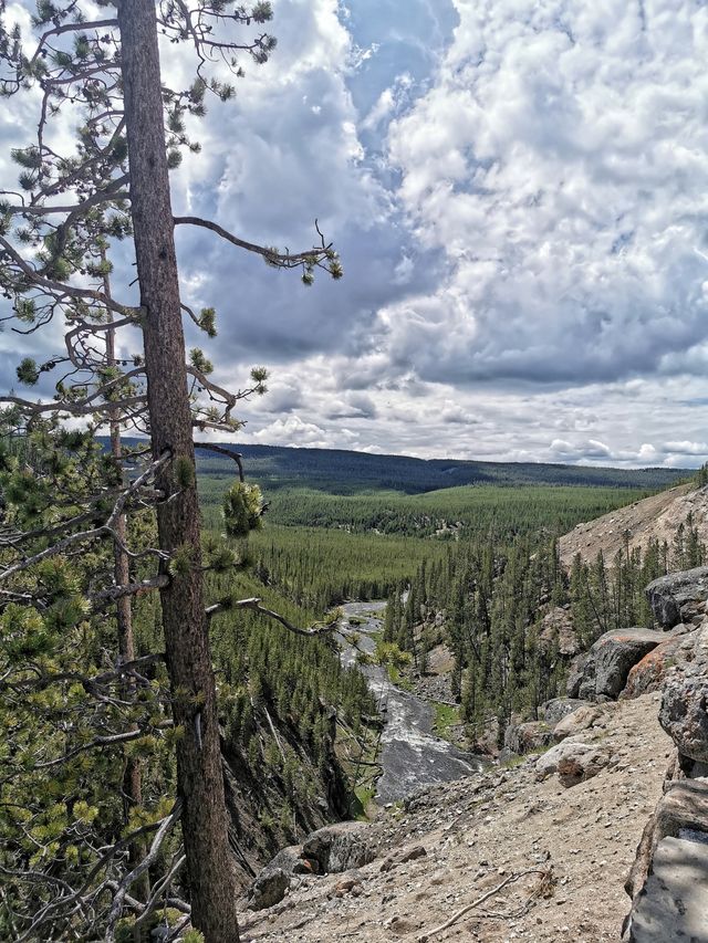 Yellowstone National Park, walking on the wilderness. (3)