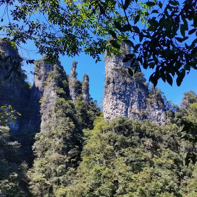 Hubei Yichang Wufeng Tujia Autonomous County Chaibuxi | Chabuxi, a picturesque canyon with three thousand peculiar peaks