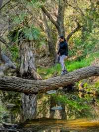 Los Angeles leisurely life