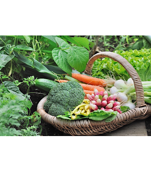 Spring Vegetable Gardening,  In-Person Class | UF IFAS Extension Orange County