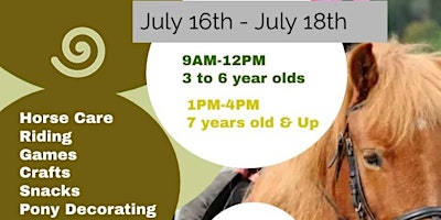 Summer Horse and Pony Camp | SpiritHorse Riding Center American Canyon