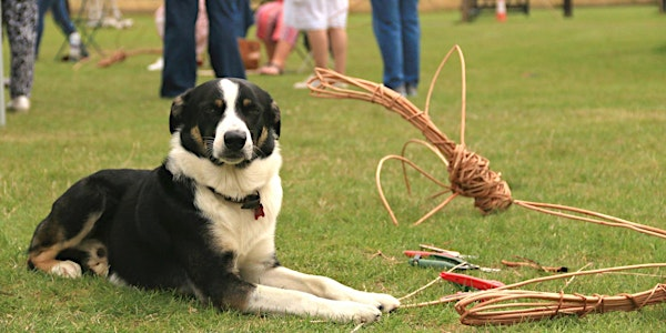 Beginner's Willow Weaving Workshop - Saturday 19th July 2025 | Preston Bissett Nurseries and Country Shop