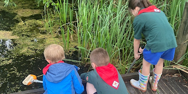 Nene Wetlands Pond Dipping and Mini Beasting | Nene Wetlands Visitor Centre