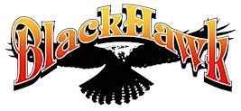 2025 Forest River Outdoor Concert - BLACKHAWK | Forest River