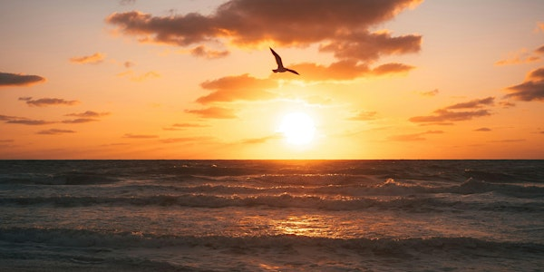 Pause: an offering of reflection & rest | Hybrid Health and Rehabilitation