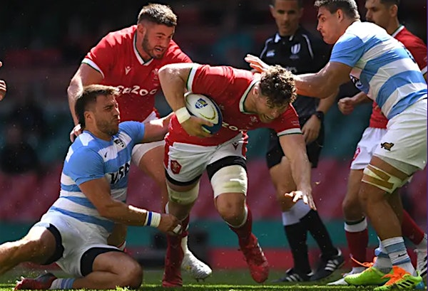 Autumn Series Rugby | Wales v Argentina CAR PARKING | Havelock Place