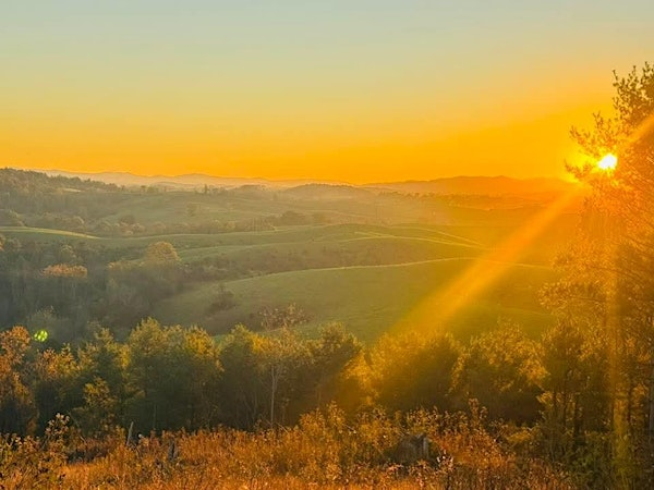 Live On Purpose  Psalm 43:3 | 2914 Delton Rd