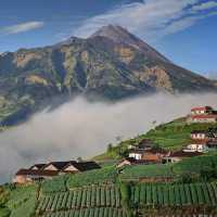 MOUNT MERAPI