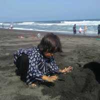 KUWARU BEACH YOGYAKARTA