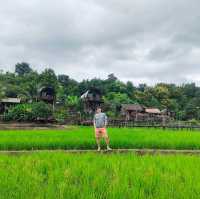 บ้านนอก ฮอกควาย สบายๆ เมืองคอง