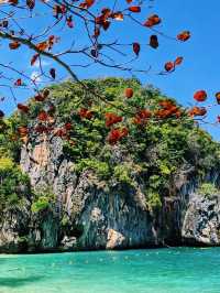 Let’s go to paradise now