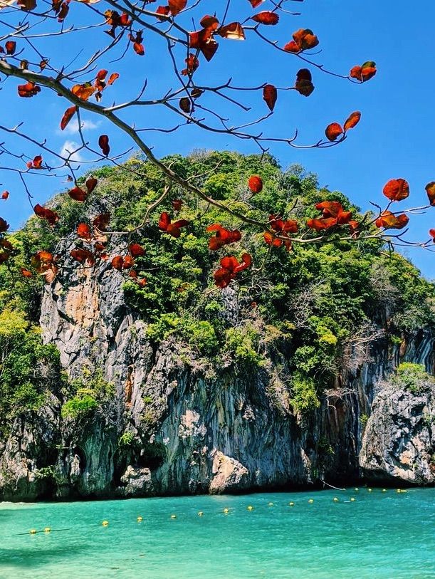 Let’s go to paradise now