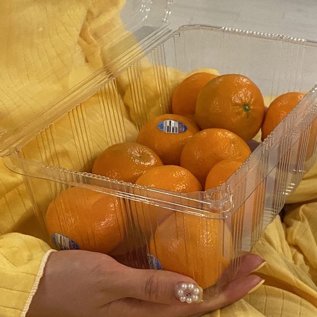 다양한 인생샷 핫플 여수 풀빌라 디아크