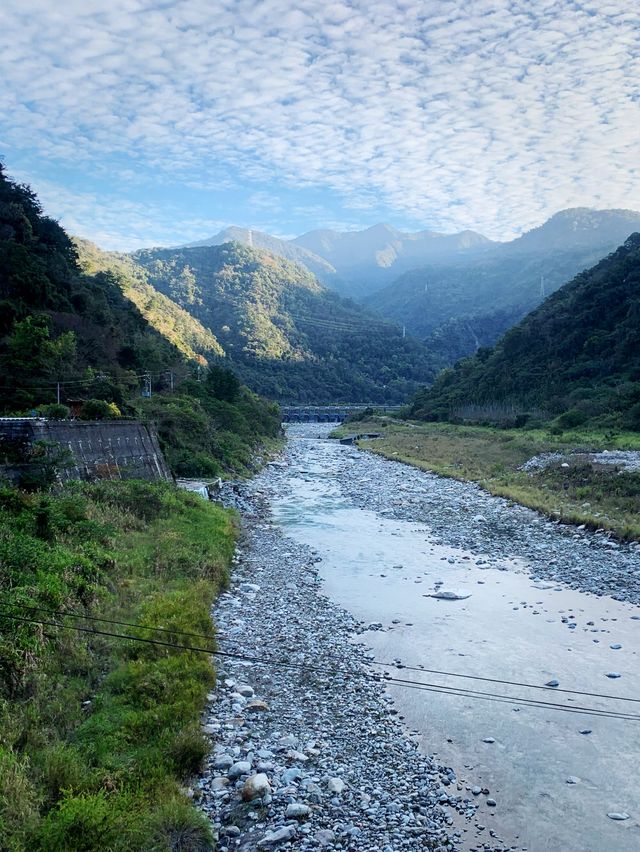 台中谷關極美吊橋｜來白鹿吊橋欣賞山林溪邊之美