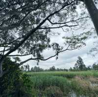 拍拖勝地 南生圍