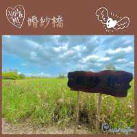 漫遊南生圍