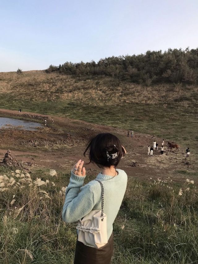 제주 금오름, 찍기만해도 인생샷 완성 🤎🐎⛰