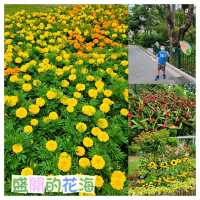 親親大自然