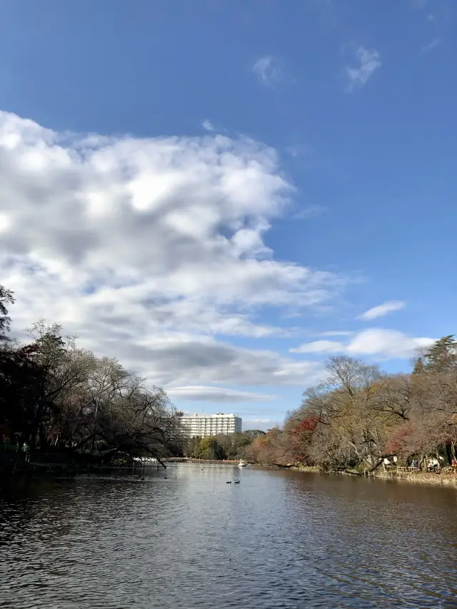 【武蔵野市】四季折々の風景が楽しめる『井の頭恩賜公園』