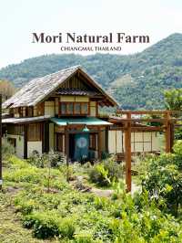 🍃🐶Mori Natural Farm ที่พัก&คาเฟ่บนภูเขาเชียงใหม่