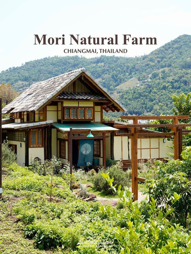 🍃🐶Mori Natural Farm ที่พัก&คาเฟ่บนภูเขาเชียงใหม่