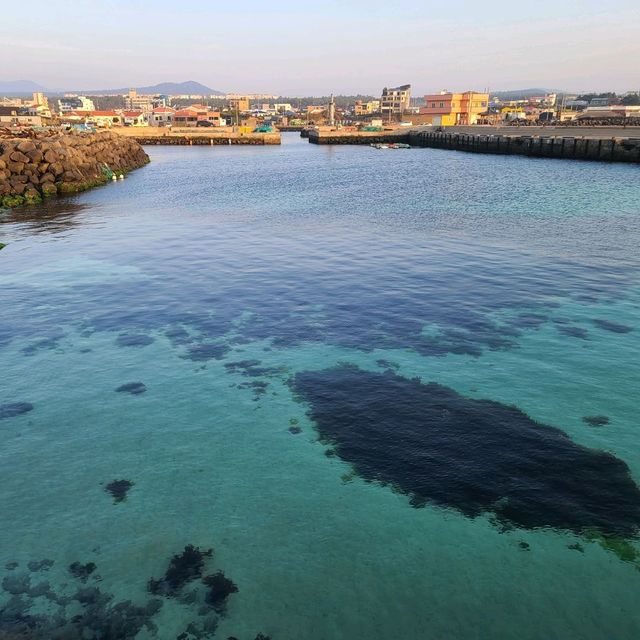 제주 금능 포구 바다 명소