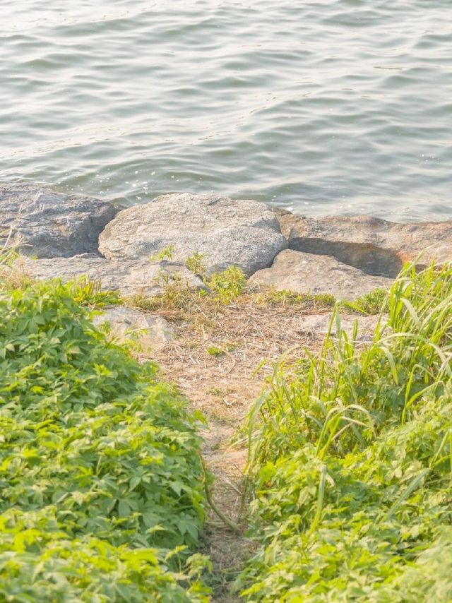 서울 가볼만한 곳, 반포한강공원