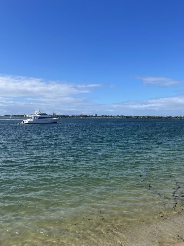 Kayaking with Dolphins and Snorkeling tour