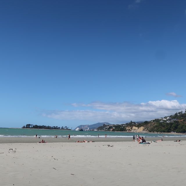 뉴질랜드 남섬🇳🇿 아름다운 해변을 찾고있다면, 타후나누이 비치로!🌊